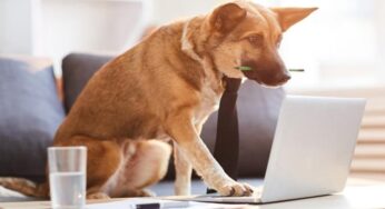 5 Healthy Tech Habits to Adopt for a Happier 2022